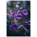89435c0d-3d2a-467b-9786-f0dd002321b8