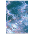 89fd0817-2cf4-4a88-9919-887e083f3d64