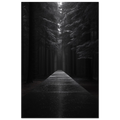 9c2d16e5-7ab3-4278-9048-a886883fbd98