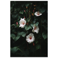 b2009aa8-bba9-4082-b42e-00ba3e04bcbc