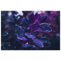 c97a6256-0871-4ba5-ac51-4fd345c91827