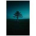 e9a47bdb-08e3-4f6c-83b7-a41b233e3549